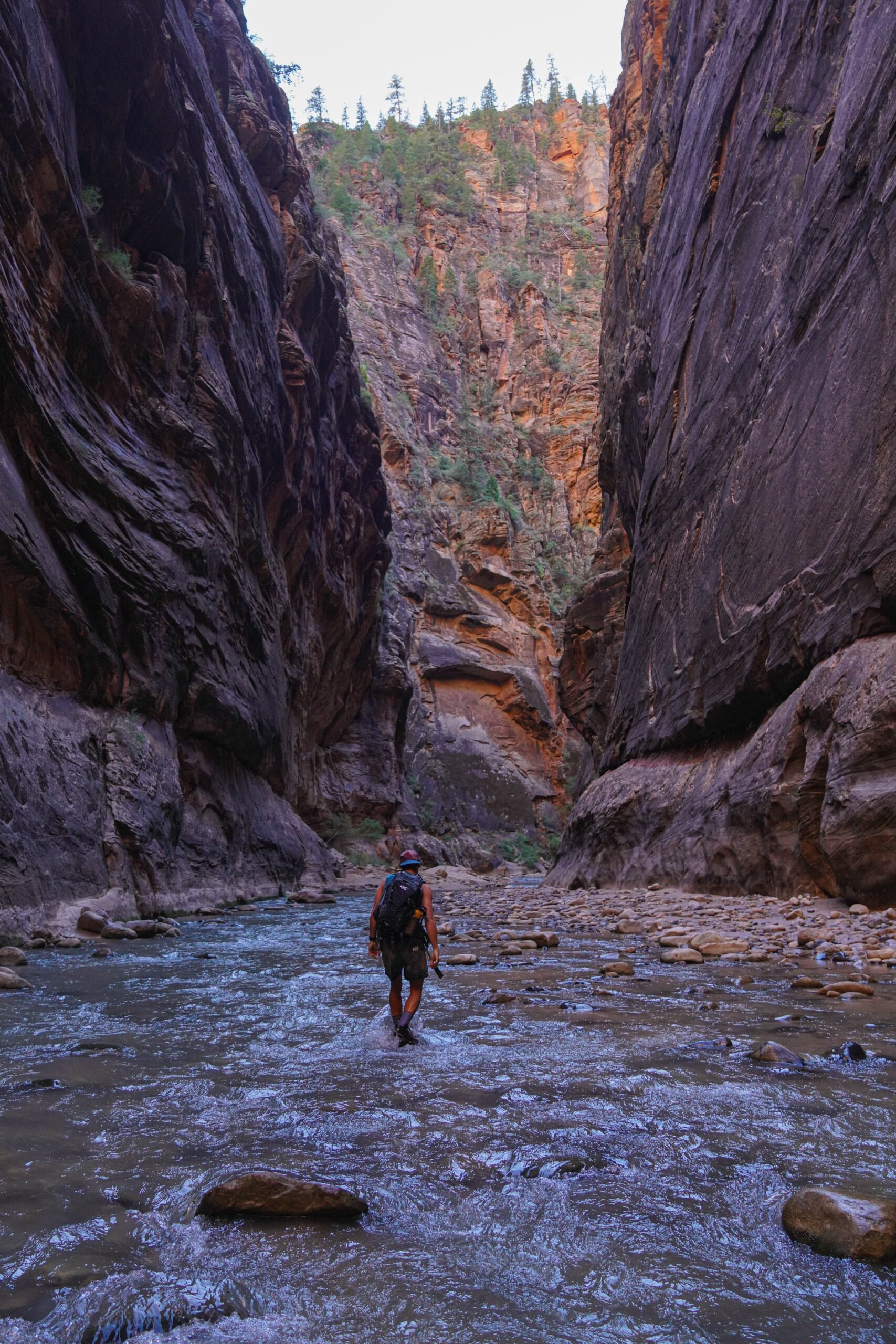 Hiking the narrows in Zion National Park